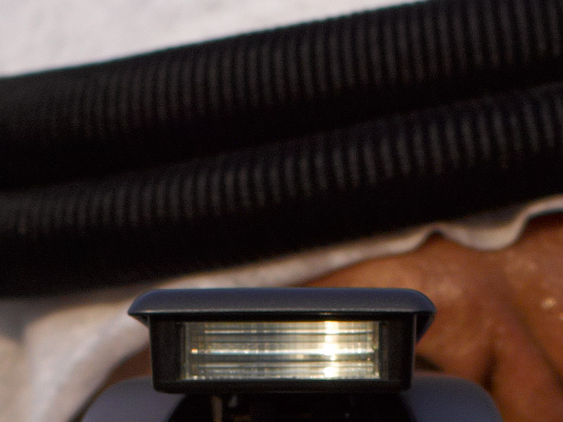 l_000054_crop2.jpg