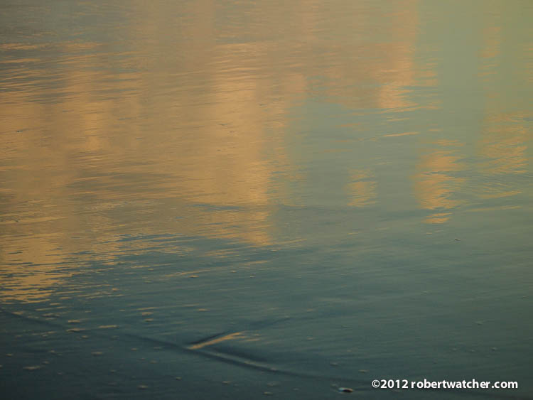 20121210-170918.jpg