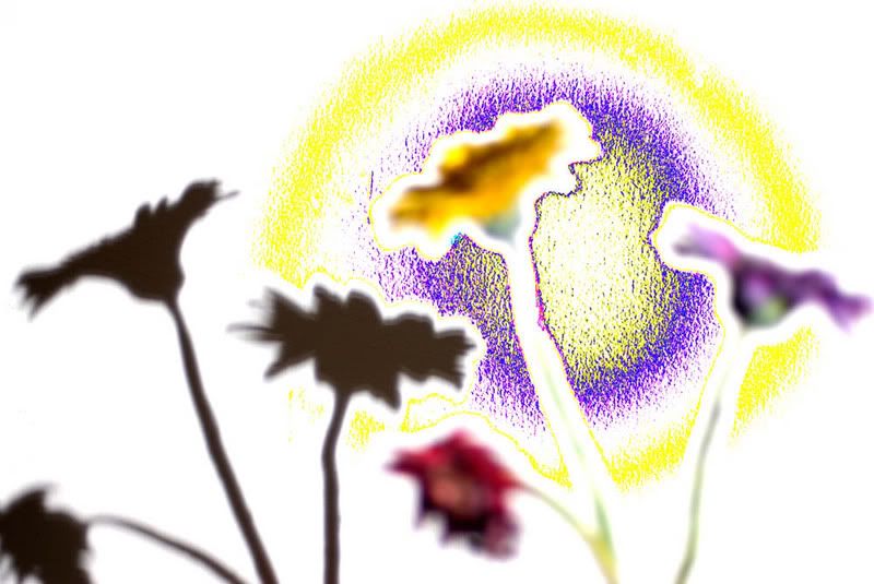 shadowdetailps.jpg
