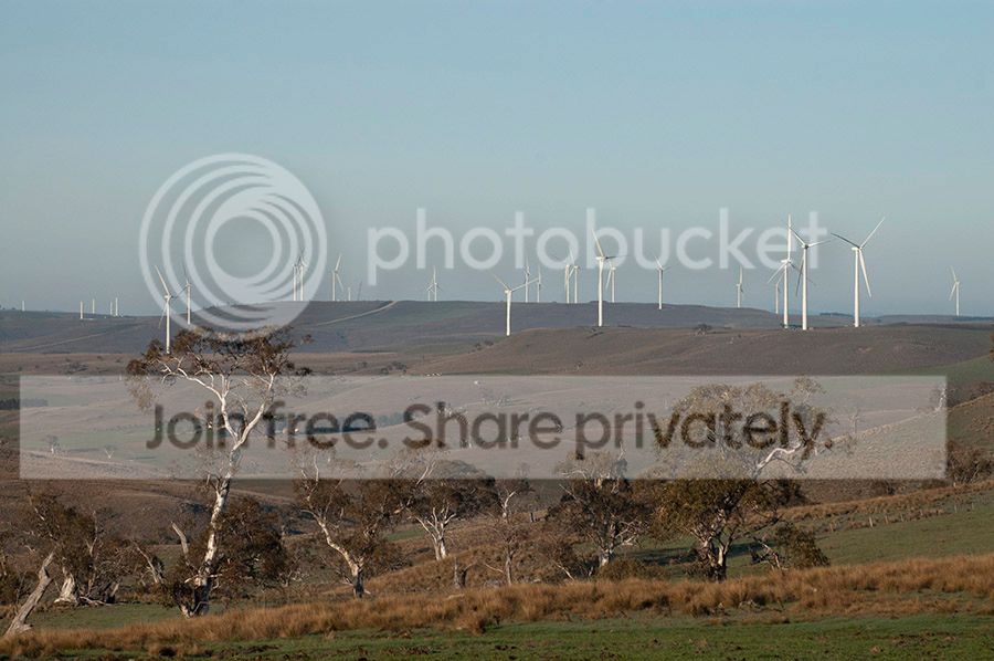 Wind%20farm%202_zpsuuhv9c1w.jpg