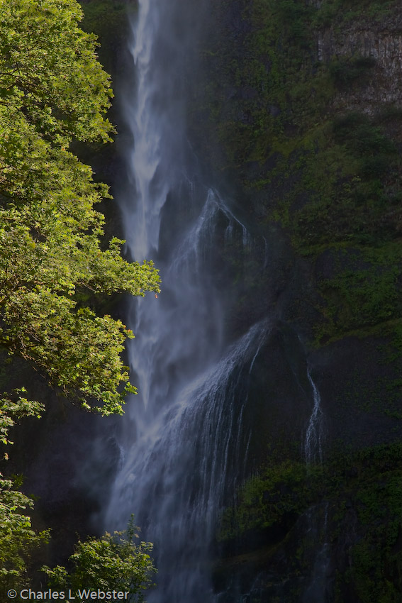 IMG_3970_Edit.jpg