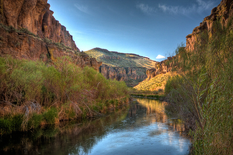 6999636538_5daac17f6a_c.jpg