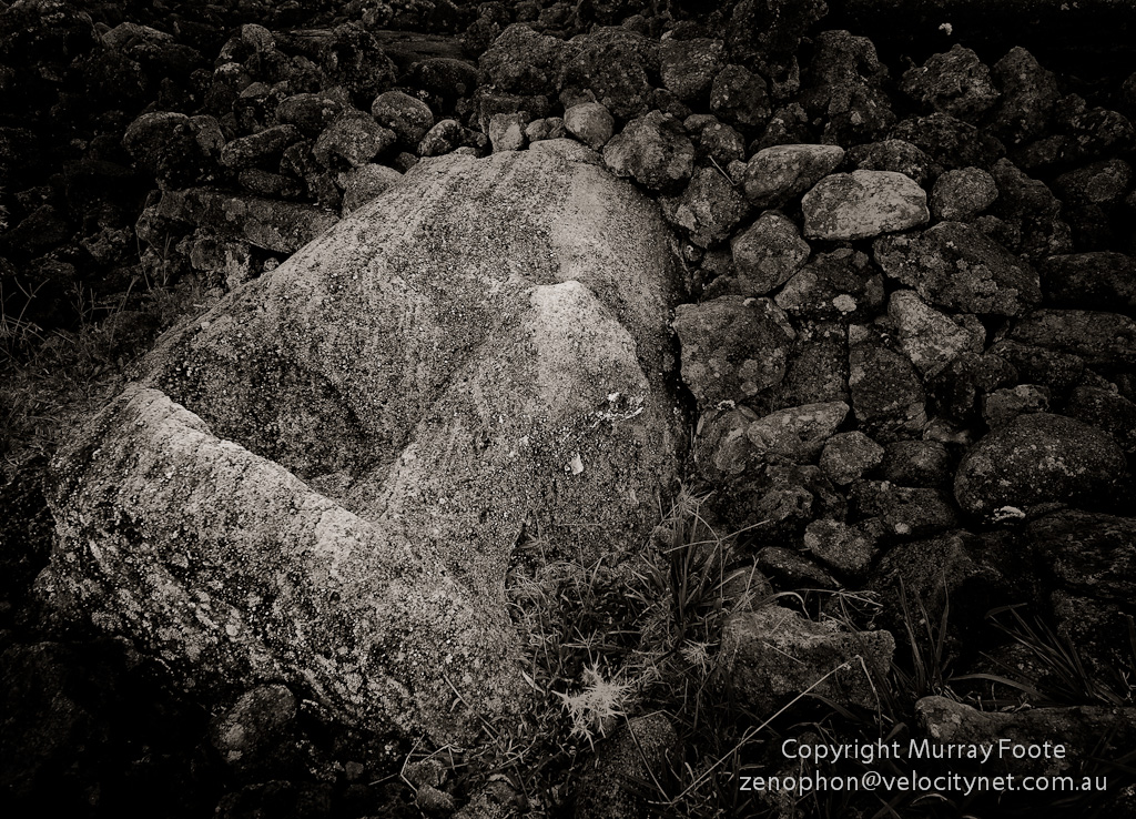 11s7287-edit1.jpg