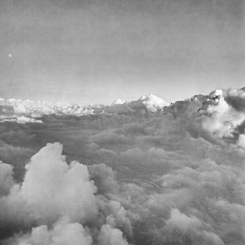 7920664162_aa08ff9952.jpg