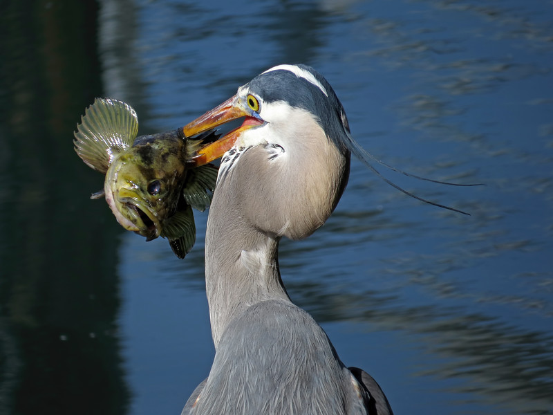 IMG_3848-L.jpg
