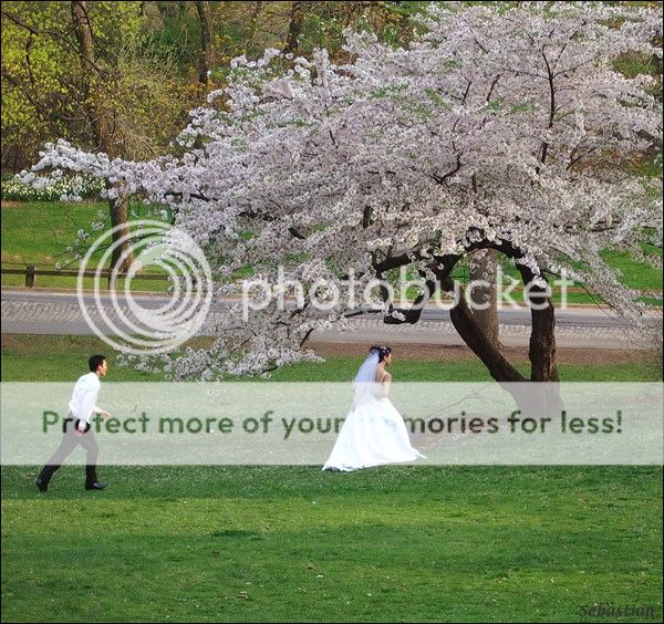 bride_at_cp01.jpg