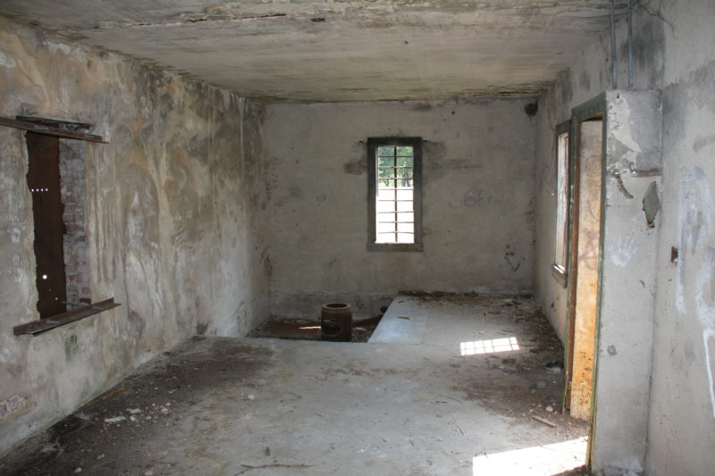 Borden_F21638R.jpg