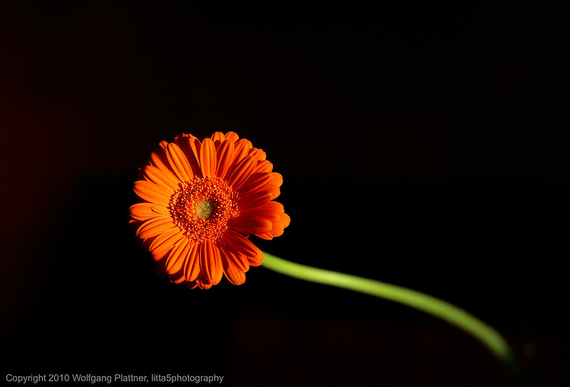 p747735361-4.jpg