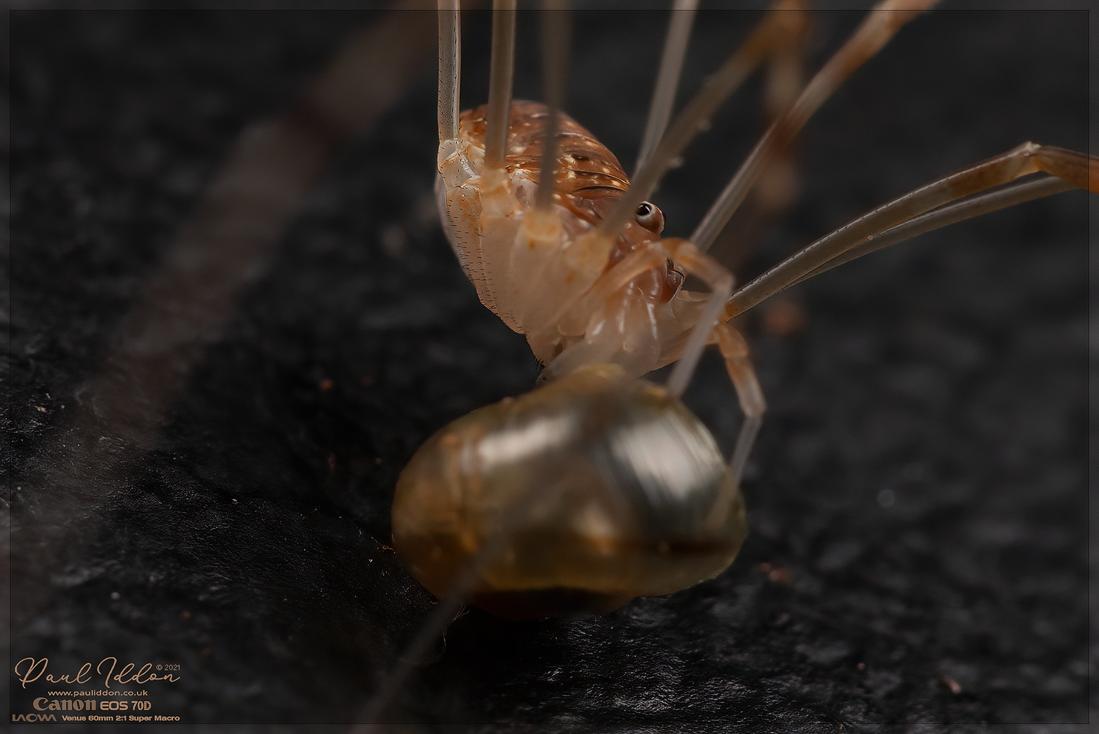 eat7_4k_1800-X3.jpg