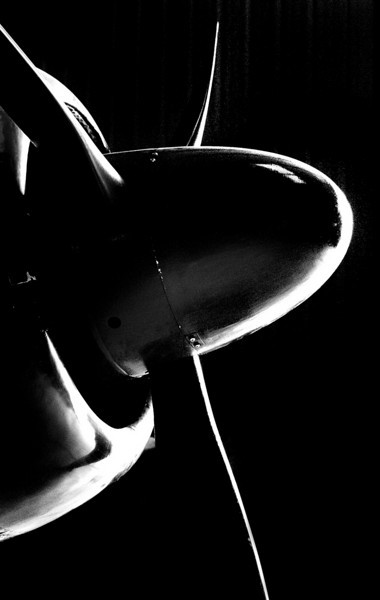 229775099_tXBVQ-L.jpg