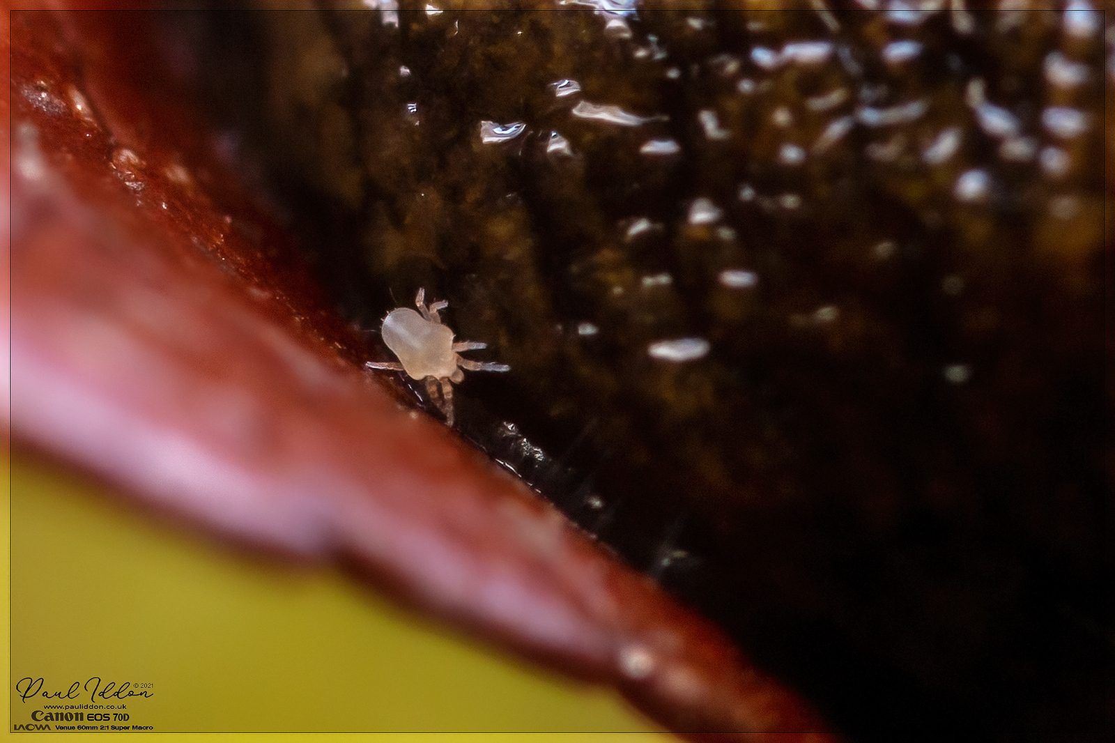sluglife07_4k_1800-X3.jpg