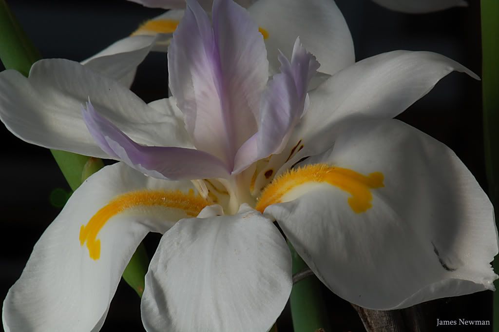 DSC_3037-2.jpg
