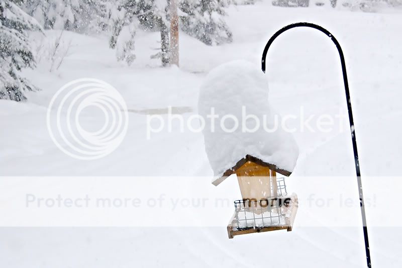 _MG_6019.jpg