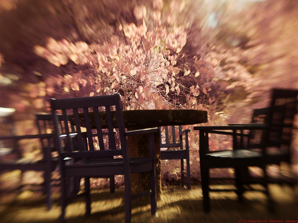 10990096584_0f4c345283_b.jpg
