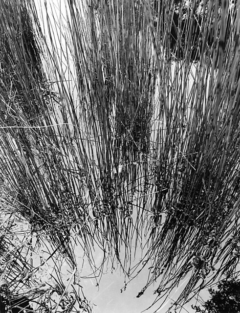 5252404093_c504a297f1_z.jpg