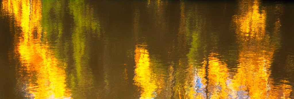 6255990552_83c919a4f7_b.jpg