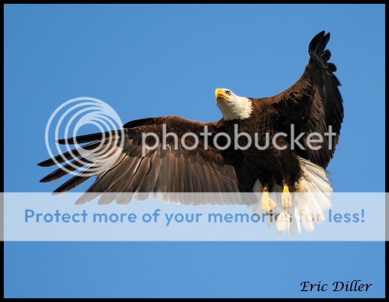 PIC_7227copy.jpg