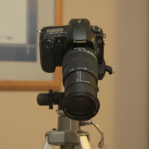 Head_axes_F15490R.jpg