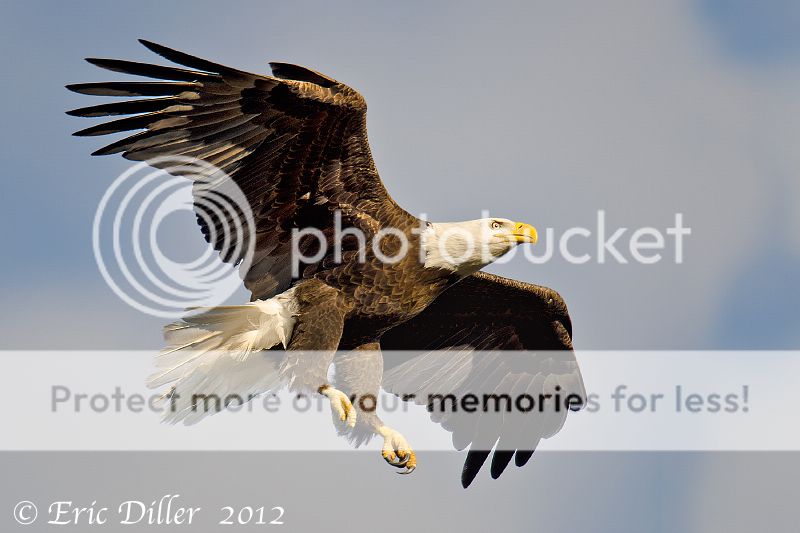 _ECD4934-copy800.jpg
