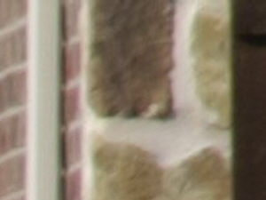 Test_F28847-01-C2-S300.jpg