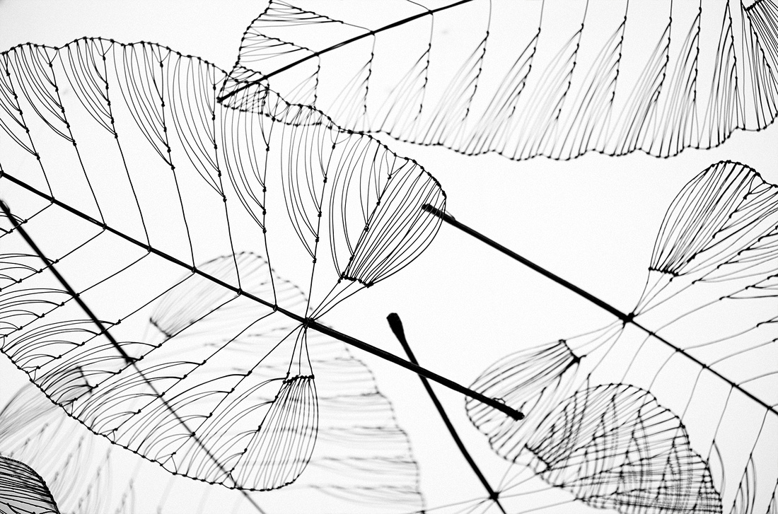 p2751982856-5.jpg