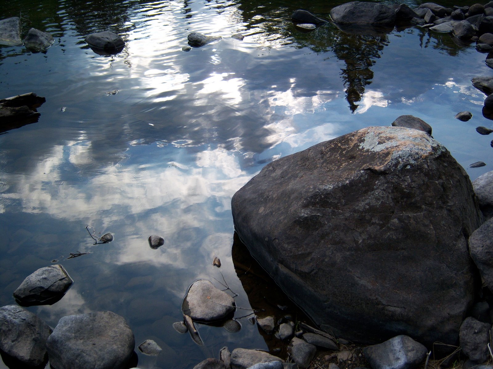 Picture%2B227.jpg
