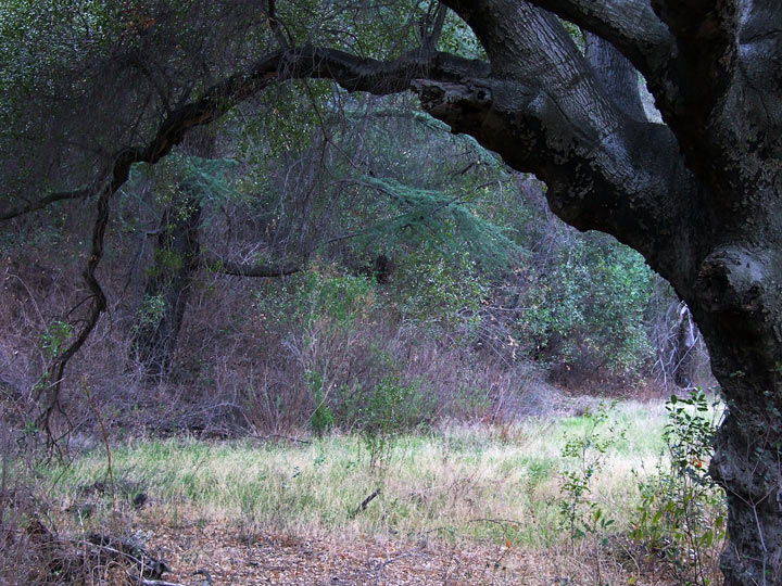 4x5_mulholland_05_color.jpg