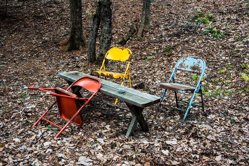 DSC_5669-L.jpg