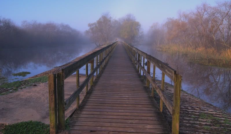 bridge2crop.jpg