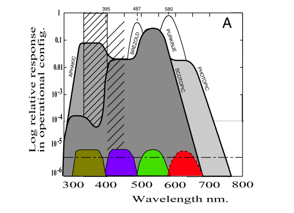tetracomp.gif