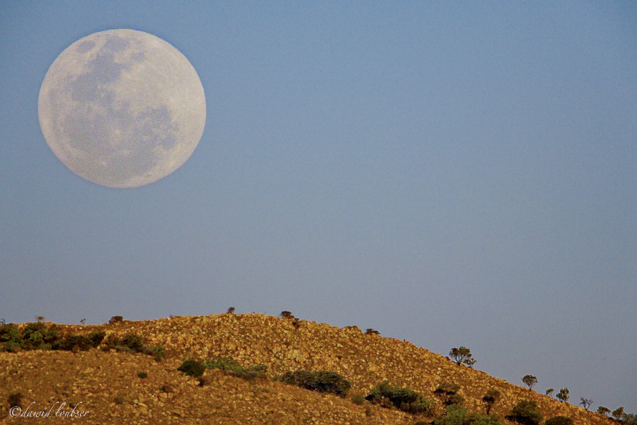 Highveld_moonrise_by_phil_NC.jpg