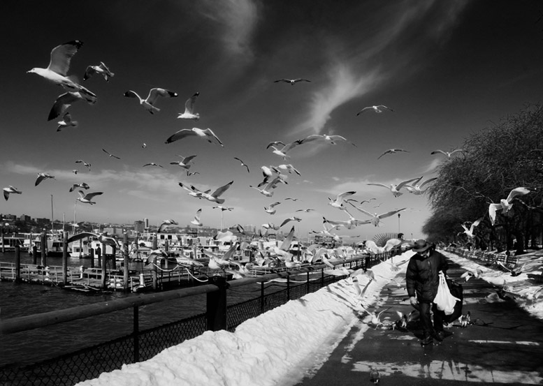 IMG_0837_aeditedAK.jpg