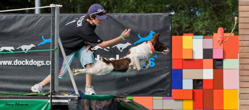0628_DockDogs_4679.jpg