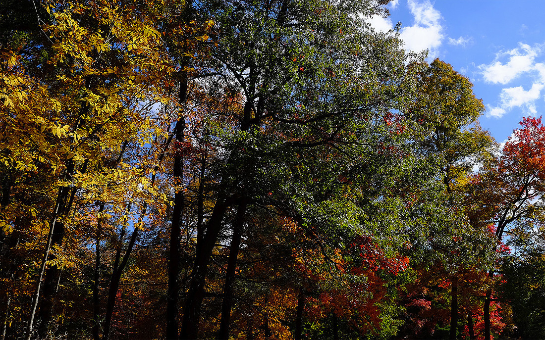 p2826041280-5.jpg