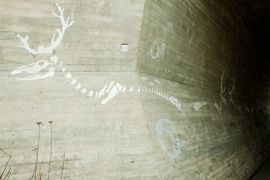 _img900.jpg