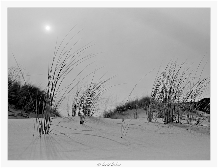 surface_by_philosomatographer-d3itjlz.jpg