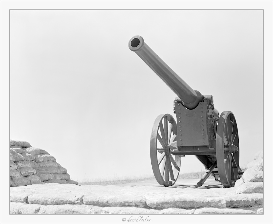 long_tom_cannon_by_philosomatographer-d51bi2h.jpg