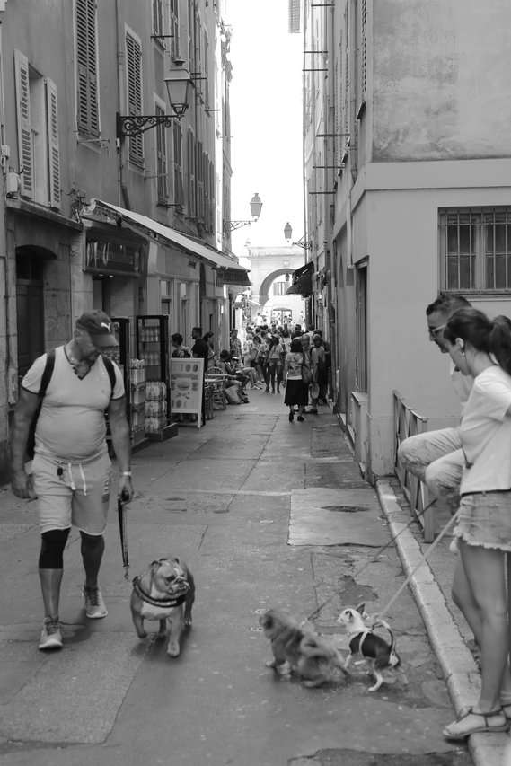 _img1280.jpg
