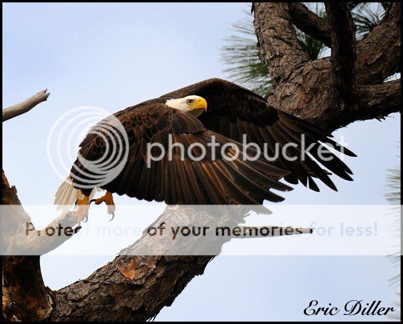 PIC_8129copy.jpg