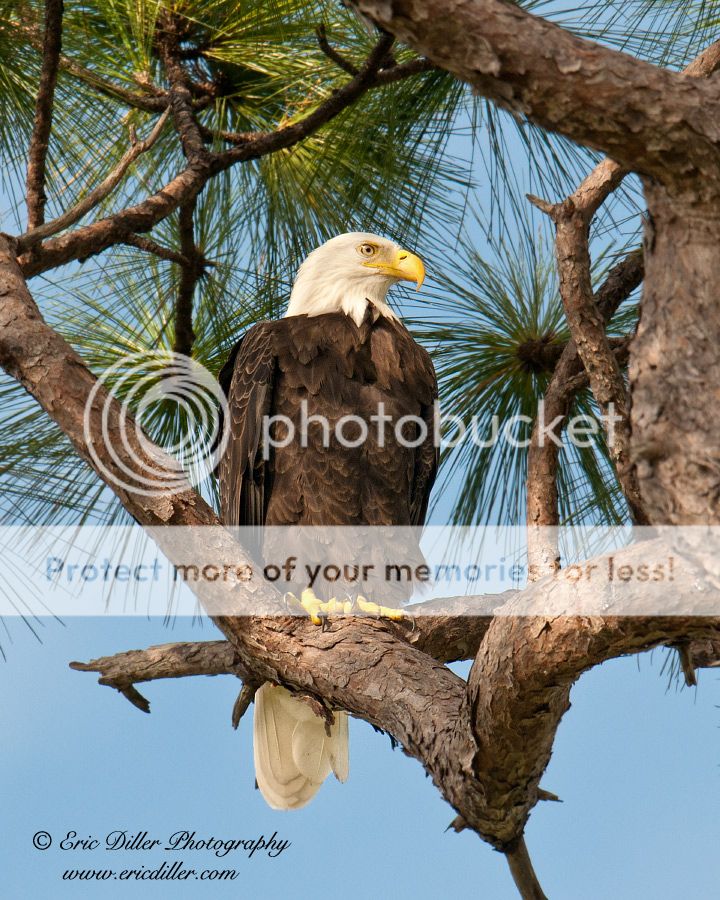 _ECD2179-copy900.jpg