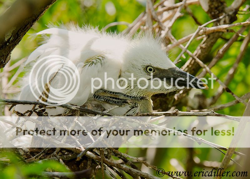 _ECD2257-copy800.jpg