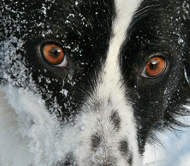 DSCN0692crop_NC.jpg