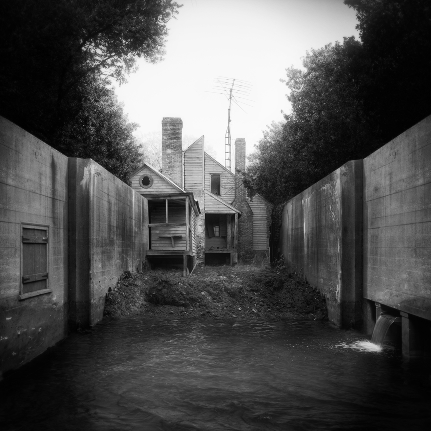 untitledbackyard_sm.jpg