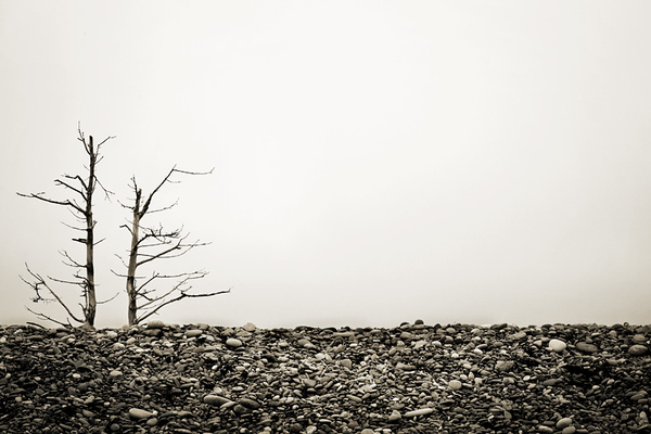 200287996_LpkQ7-L-5.jpg