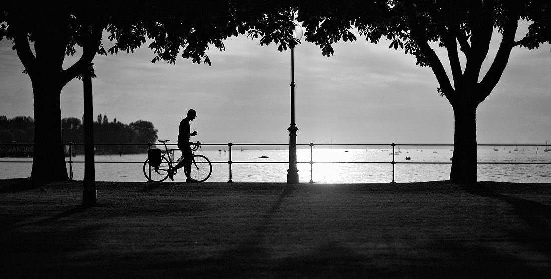 p86663660-5.jpg