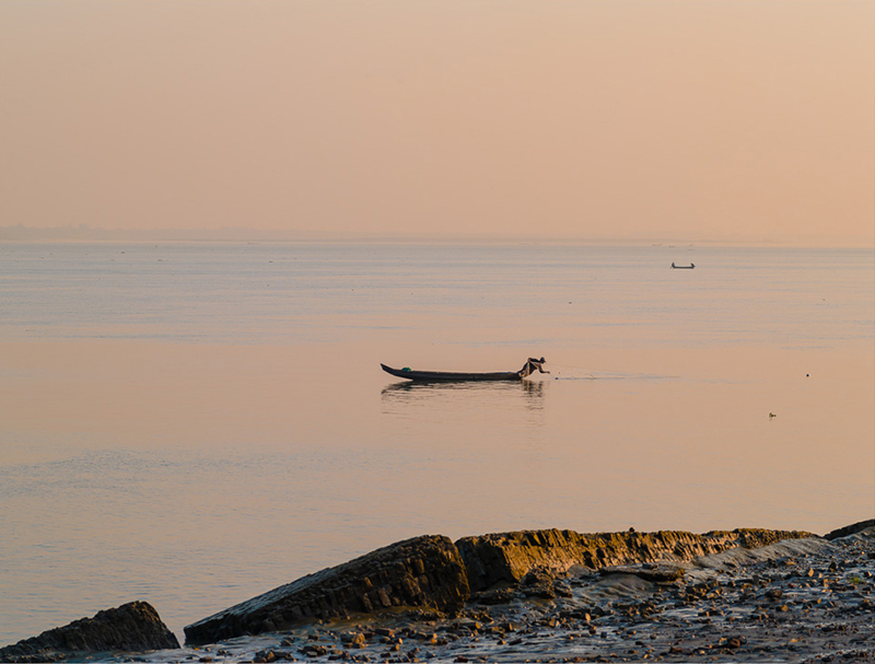 _NCL3548.jpg