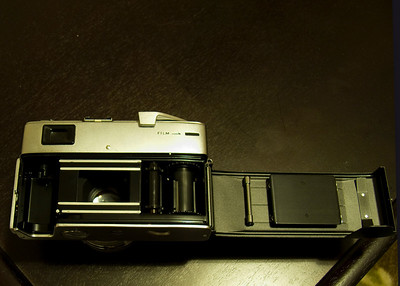 291191255_TrpR5-S.jpg