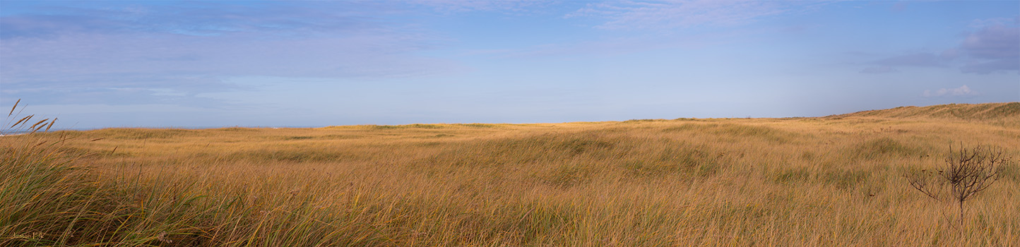 NorthOfSeasideNovember-11-Panorama3.jpg