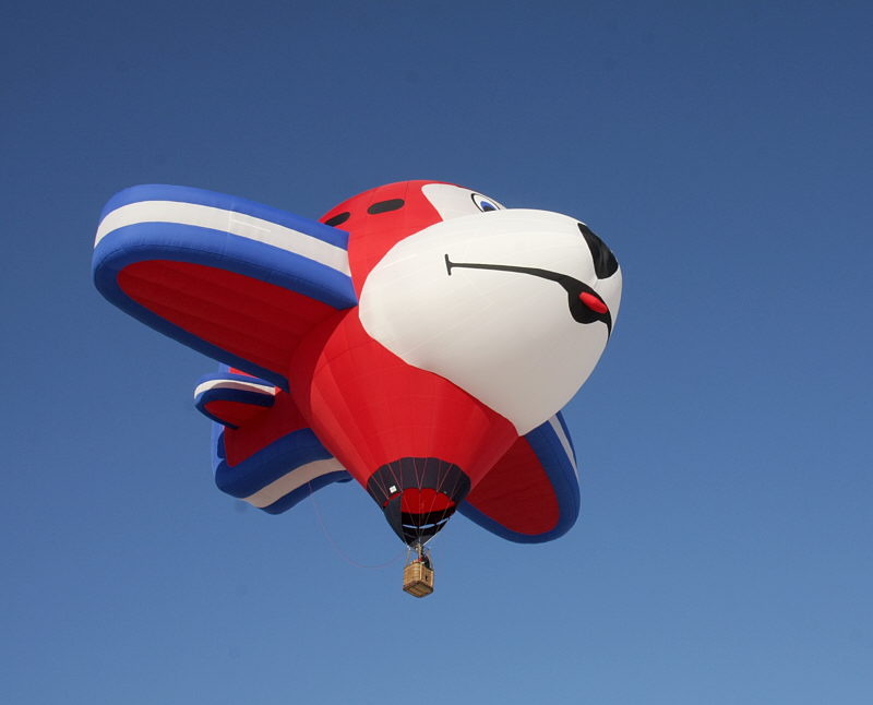 Balloon_F35713-01-C1-S800.jpg