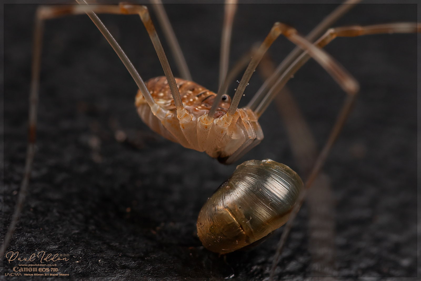 eat6_4k_1800-X3.jpg